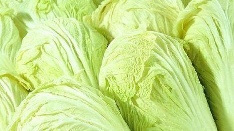 白菜的“死对头”，千万要记住，两者不能一起吃，否则没病找病