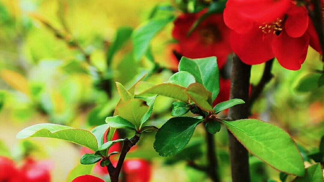 有钱就会乱花的星座：世界那么大，我想去看看