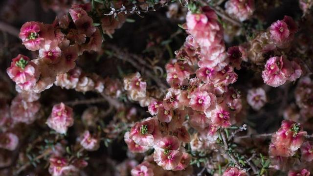 平庸的人浅尝辄止，优秀的人持之以恒