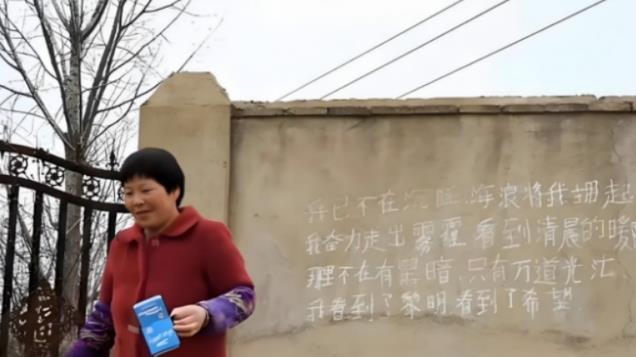 河南农妇去联合国演讲，回来后给丈夫20万提离婚：想找个爱我的人