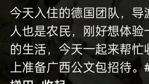 笑不活了！广西桂林一客栈晒德国旅行团帮忙收稻谷，评论区笑翻了