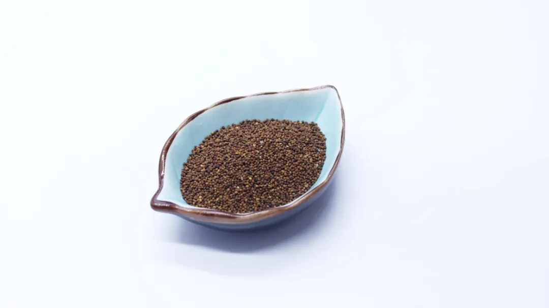 这个“不劳而获”的寄生植物，药用价值高，降血脂血糖、抗衰抗癌