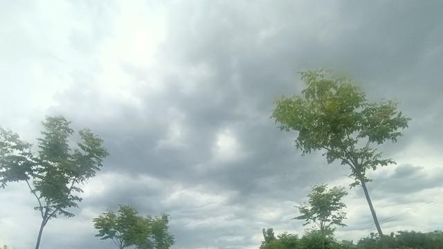 40岁李佩霞家庭揭秘：公职老公早已知情，儿子已踏入高中生活！