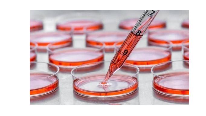 无血清细胞培养基：开启生物制药的新篇章