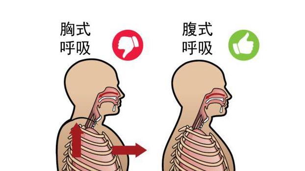 站桩时不要主观的干预呼吸，自然的才能养你