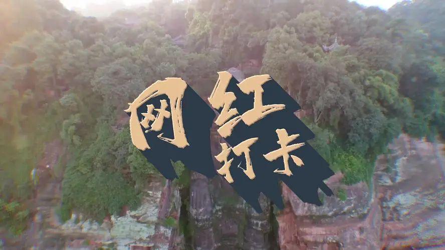 144小时过境免签的魅力，24国29名网红打卡河南，狂拍大玉米