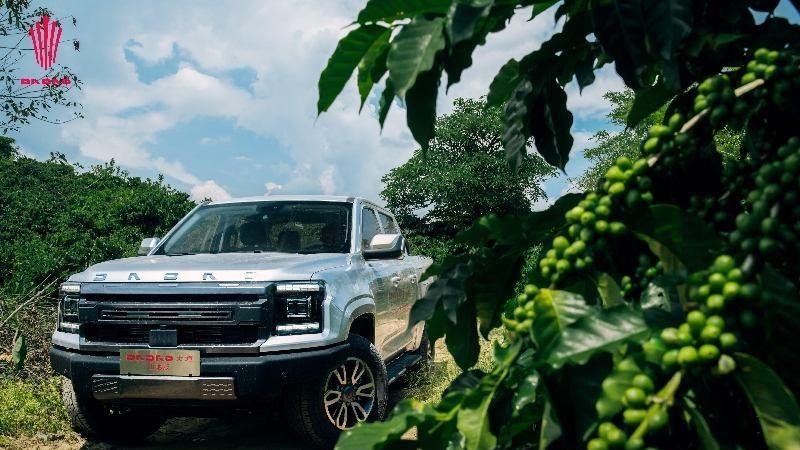 走进西南，探索极限：驾驭江铃大道山地版穿越普洱咖啡产业