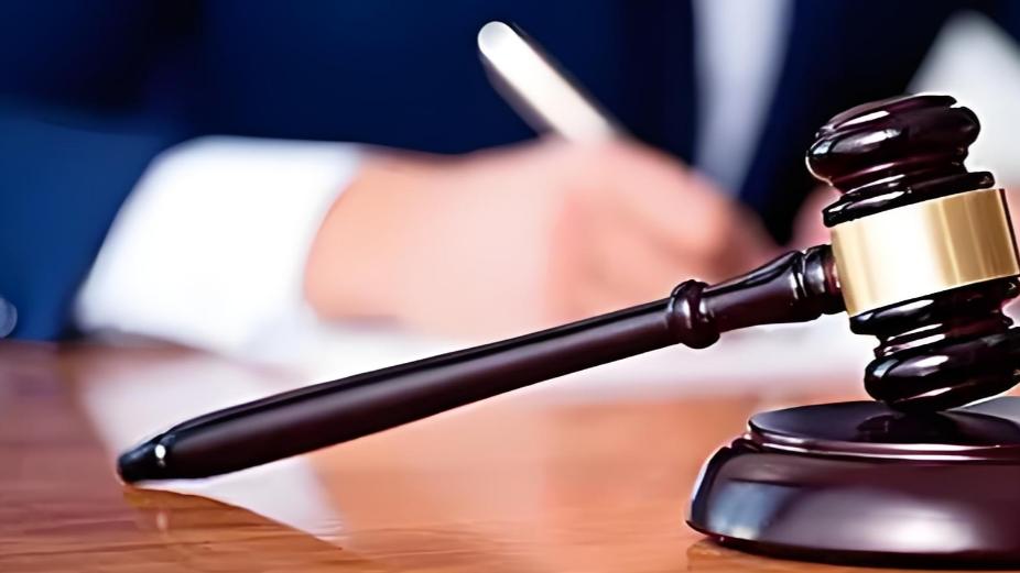 罚金缴纳的最晚时间，是什么时候？