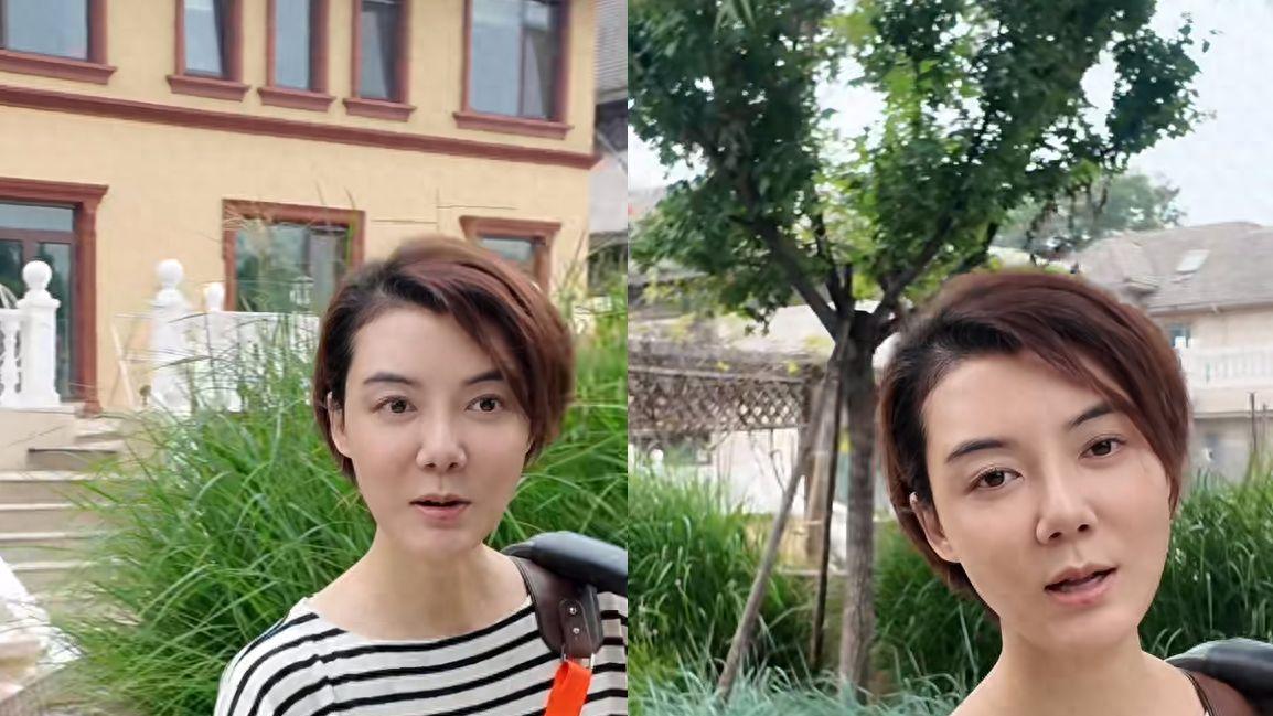 车晓的独居艺术：品味苹果派，领悟生活真谛