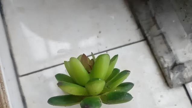 20张能把人笑疯的搞笑图片，真的是让人笑不活了