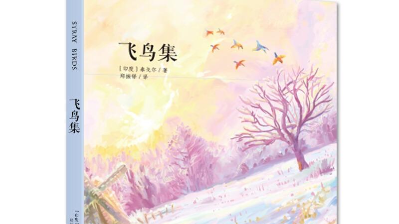 生命的自由诗篇：《飞鸟集》与现代生活的反思