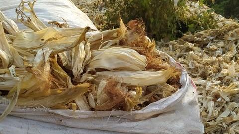 没有卫生纸的古代，上完厕所该怎么解决？别怕古人来告诉你答案