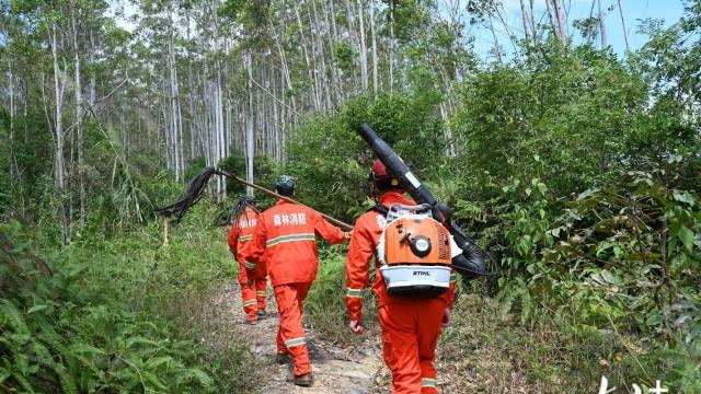 筑牢防火屏障，守护绿美陆丰