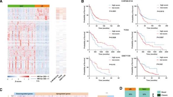 文献速递 | 转录组多组学在免疫系统中的应用（二）