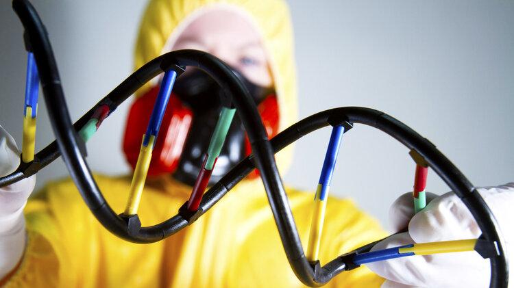 科学家发现短命基因：携带者更易在69岁前死亡，每25人有1人携带