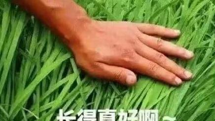 “A股巴菲特”但斌警告：暴涨后必暴跌！再被套住，解套遥遥无期