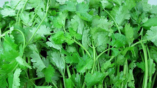 过了夏至，这些作物真不能种了！你知道吗？