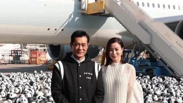 古天乐佘诗曼亮相香港机场熊猫展 两人至今未婚 俊男靓女同框好养眼