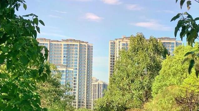 黄了，南昌九龙湖虎形山公园，占地1100亩远期视情况打造郊野公园