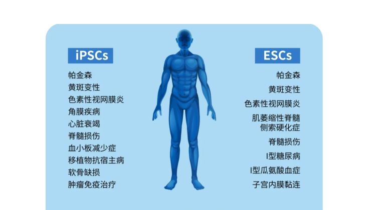 人多能干细胞扩增、传代优质培养基—埃泽思AC-1001000/AC-1001001