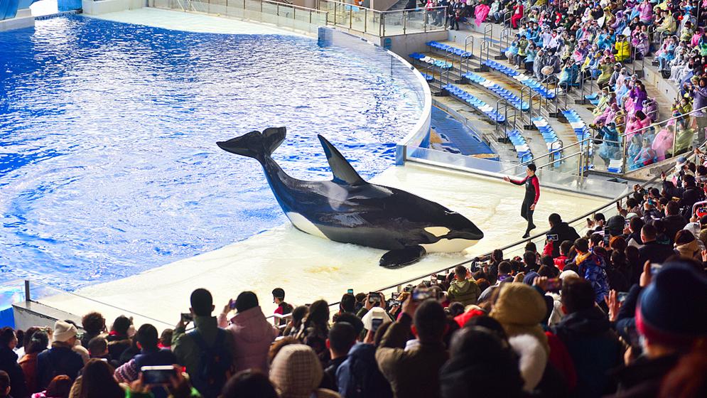 上海假期带娃旅游乐园推荐（游玩乐园篇）——嗨翻玩一天上海游乐园