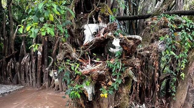 被《国家地理》评为中国最后一个原始部落，12-2月冬季旅行宝地