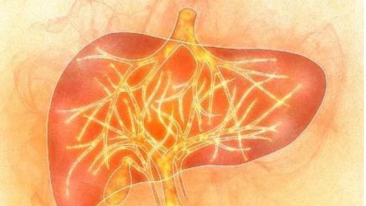 肝火一旺，拖垮五脏！送你5个中成药，帮你扑灭肝火！