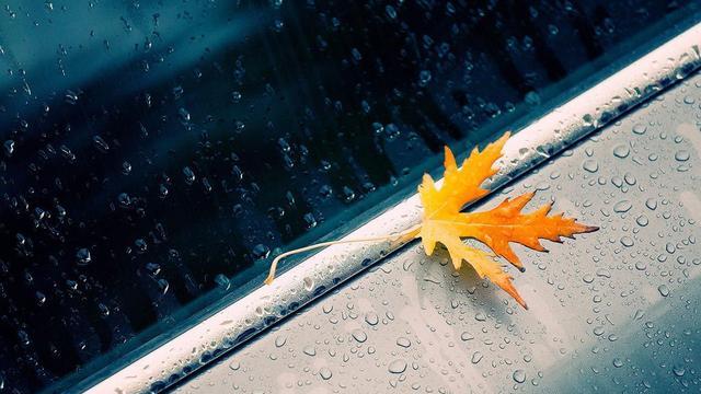 流过泪的眼睛更明亮，滴过血的心灵更坚强