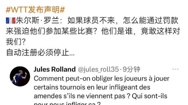 樊振东退赛风波：央视力挺，WTT6000万收入曝光，网友争议何时休