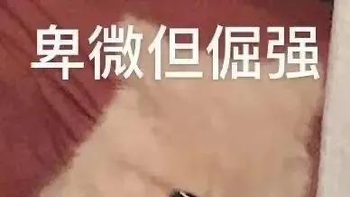 “保研秘籍”：成功者与失败者的共性启示，你get到了吗？