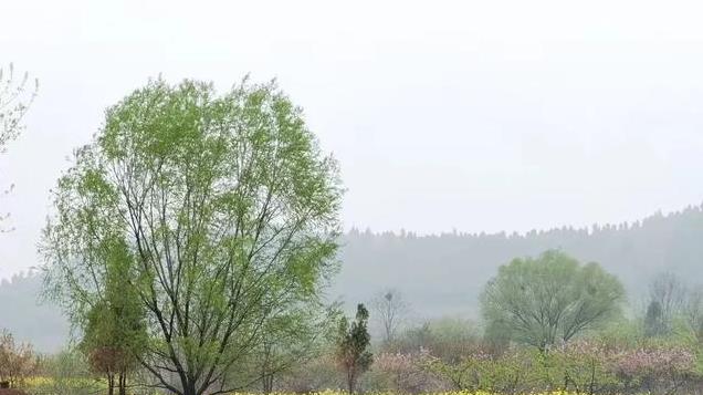 清明节，“闰二月清明节能不能上坟”？答案来了