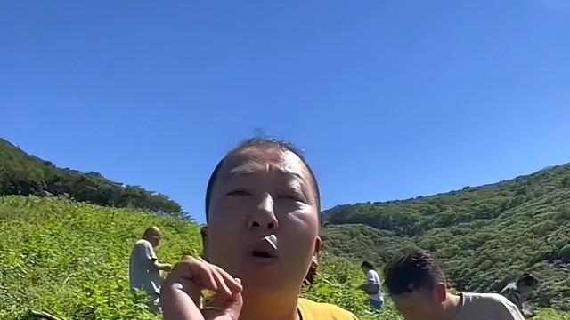 东北雨姐真不干了，打假博主大娃回应：从没想过要让雨姐全网消失