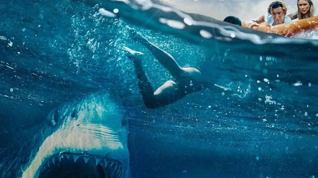 评录官盘点，全球十大经典惊险鲨鱼电影！