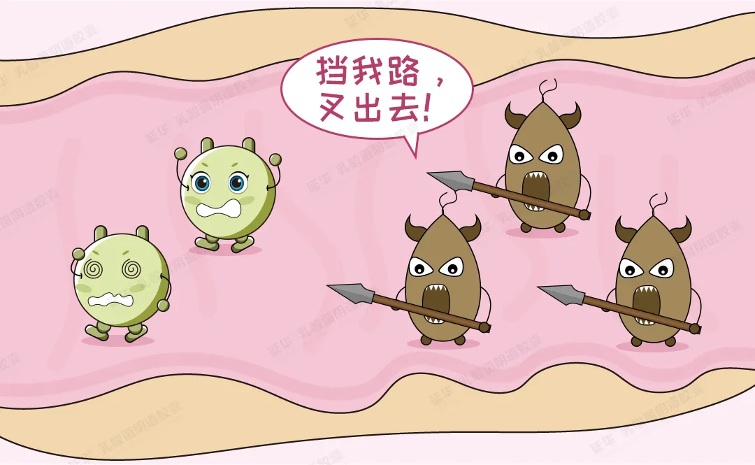阴道微生态之生殖道感染滴虫性阴道炎——病因篇