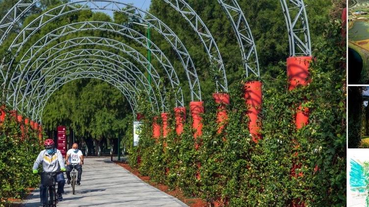 2024 ASLA地标奖：Xochimilco生态公园，墨西哥城