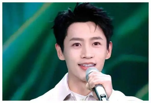 魏晨获得华鼎奖华语最佳男演员