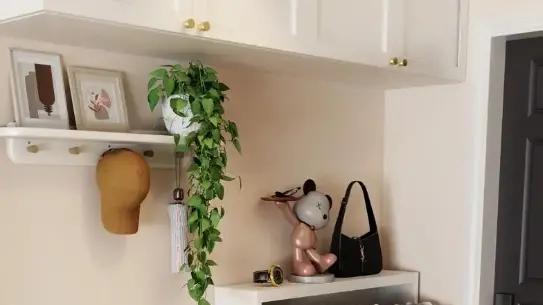 龙吟师傅：家中鞋柜你需要知道风水