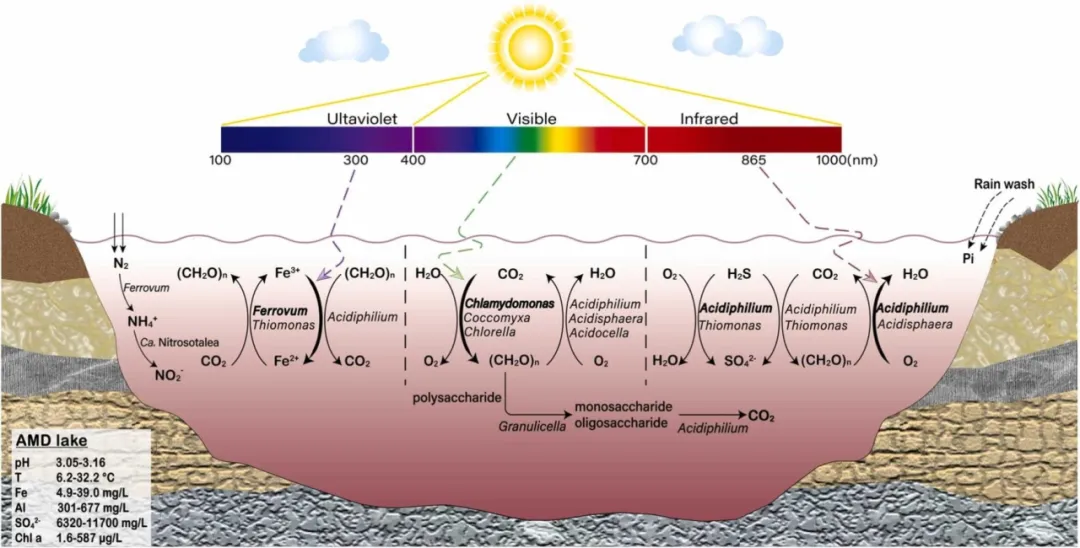 产品升级 | 宏基因组新增功能注释数据库（四）