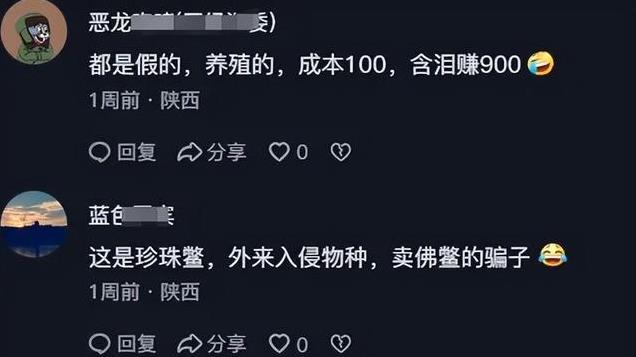 陕西男子寺庙前卖甲鱼引争议，僧人跪地求放生遭拒！