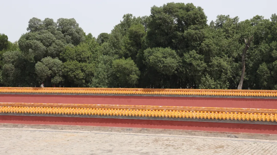 谁说二婚女子不幸福？千古美人杨贵妃：他让我“三千宠爱在一身”