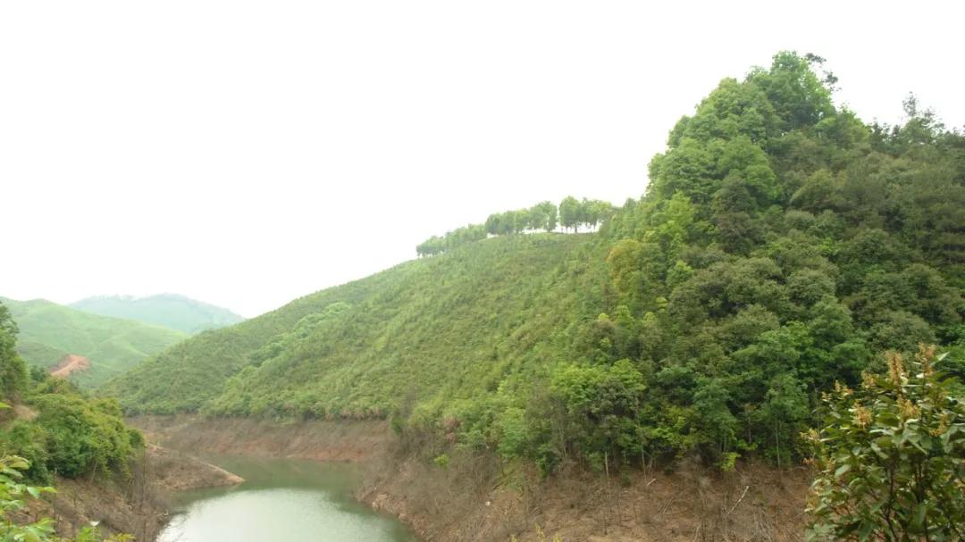 38 船仓牛头岭水库