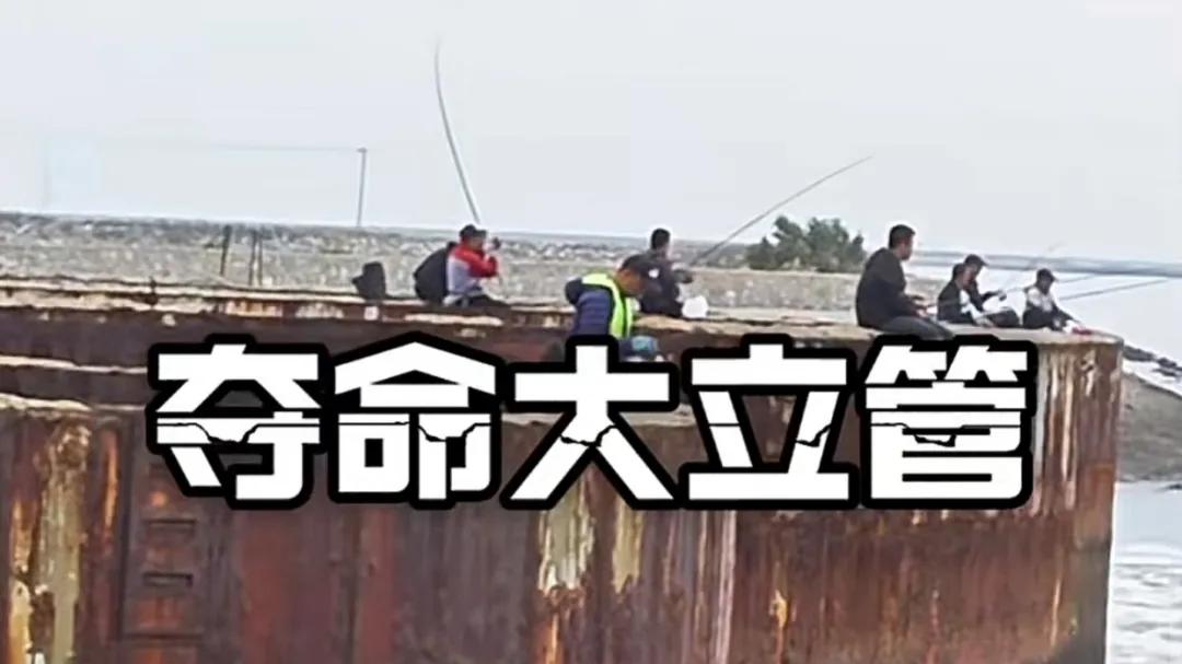 夺命大立管上抢钓位！天津“5号汪子”成钓鱼胜地，网友：掉下去就完了