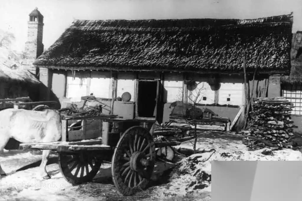 新四军伤员养伤时，被奸细告密锁在柴房里，半夜有人悄悄打开了门