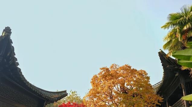 比苏州秀美，比杭州安逸，它才是江南最美秋色小城，好吃又好逛！