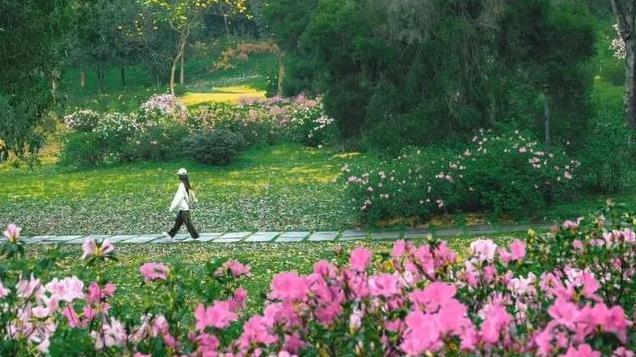 在广州，我最怕要收费的9个公园！