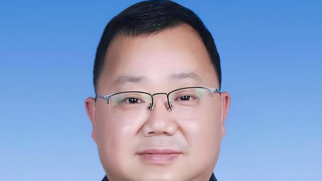 2016年，副镇长因开滴滴被处分6个月，罚款5000，如今过得咋样？