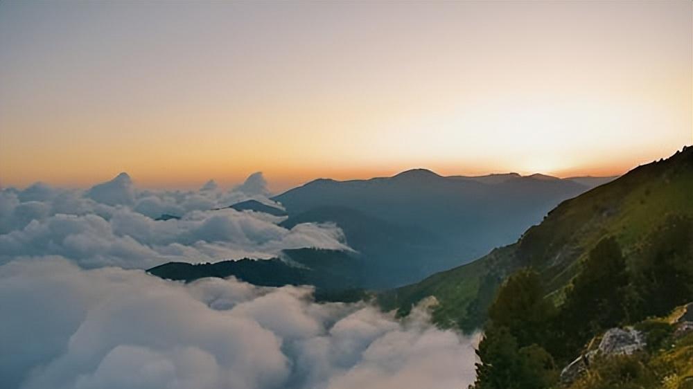 坚守与变通：人生智慧的双翼