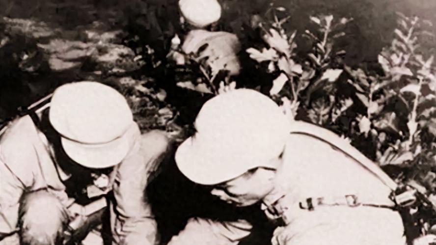 副军长枪杀政委妻子，被通缉后以双枪自杀，军委：开除党籍和军籍