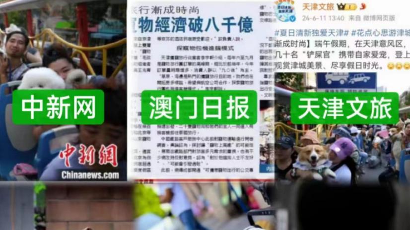 老年狗狗携宠旅行，“狗生”居然可以和“人生”一样精彩！