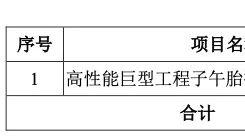 上市公司公告投资建设项目可研报告—20241220